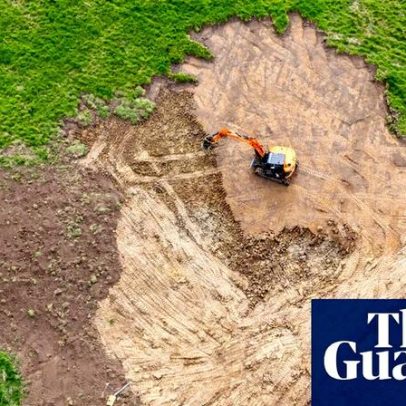 O 'Picasso dos lagos' migrou de campos de golfe para habitats aquáticos