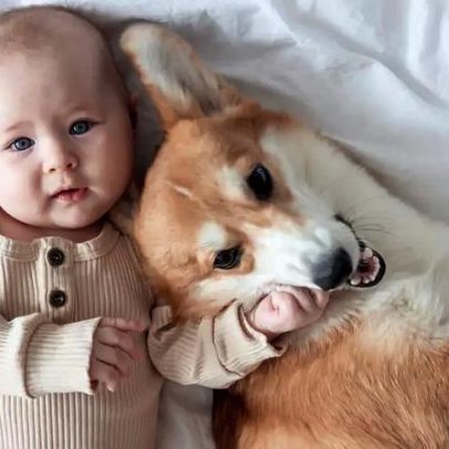 Como preparar o pet para a chegada de um bebê e a nova rotina