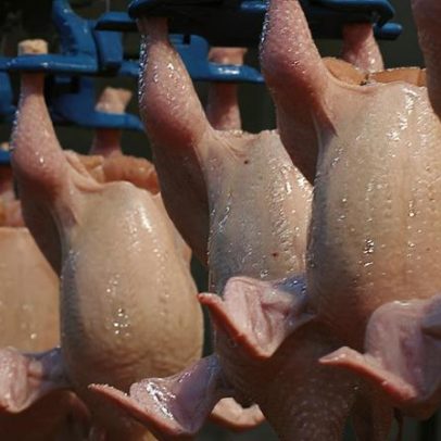 Exportação de frango atinge recorde de mais de US$ 1 bilhão em um mês