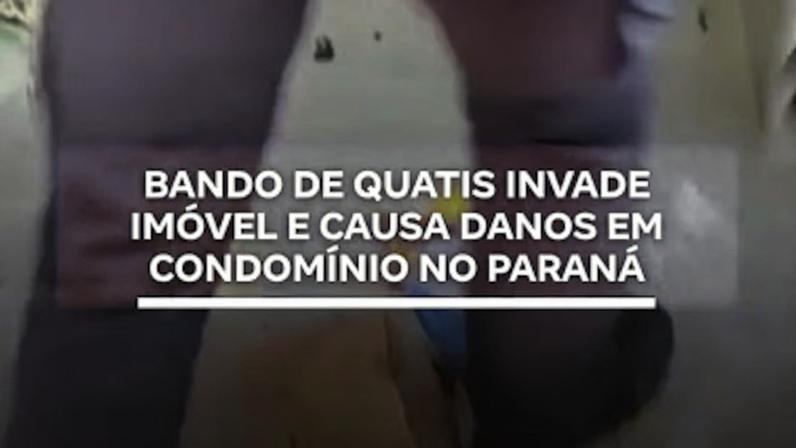 Reprodução canal do Youtube Record News