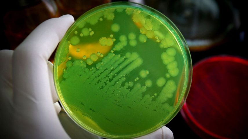 Descoberta ajuda a explicar a resistência bacteriana. (Foto: Getty Images via Canva)