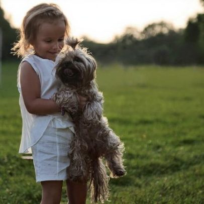Férias escolares exigem cuidados para reduzir estresse em cães e gatos