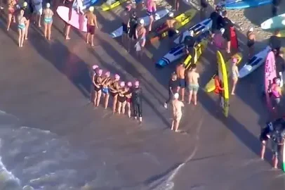 Por que ocorrem as devastadoras pragas de ratos na Austrália?