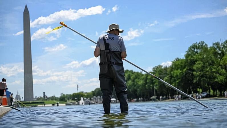 A National Park Service employee works to remove algae in the Lincoln Memorial reflecting pool in Washington DC on 20 June 2026.