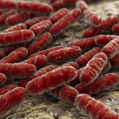 Substância de bactéria marinha mostra potencial contra melanoma
