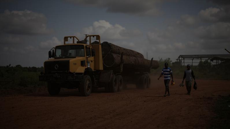 The European Union’s parliament voted decisively to end its logging oversight partnership with Liberia on June 17, marking the end of a long-running attempt to reform the country’s timber sector through foreign aid.