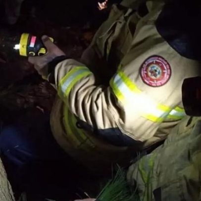 Trabalhador morre após queda de árvore em Borússia, Osório