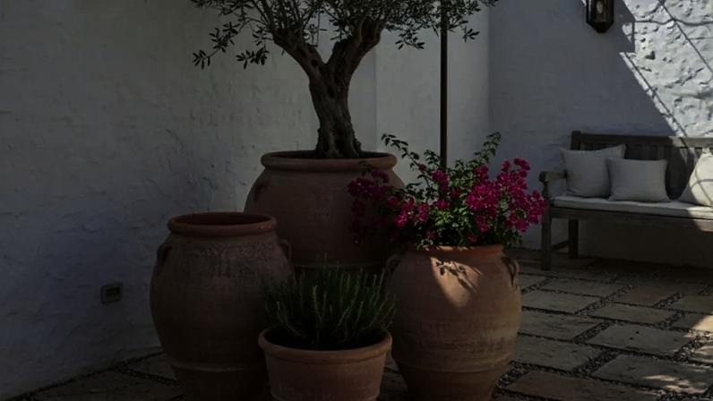A paleta terracota conecta arquitetura e natureza no estilo mediterrâneo, reforçando conforto visual e elegância