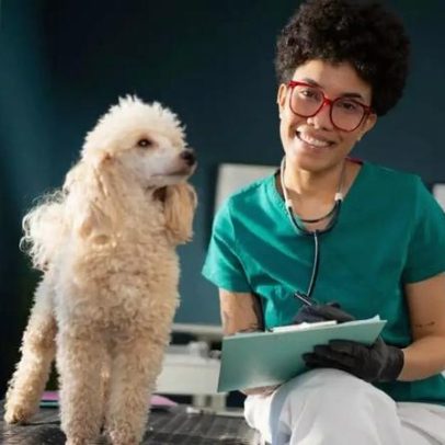 Histórico médico do pet: prontuários completos ou apenas exames?