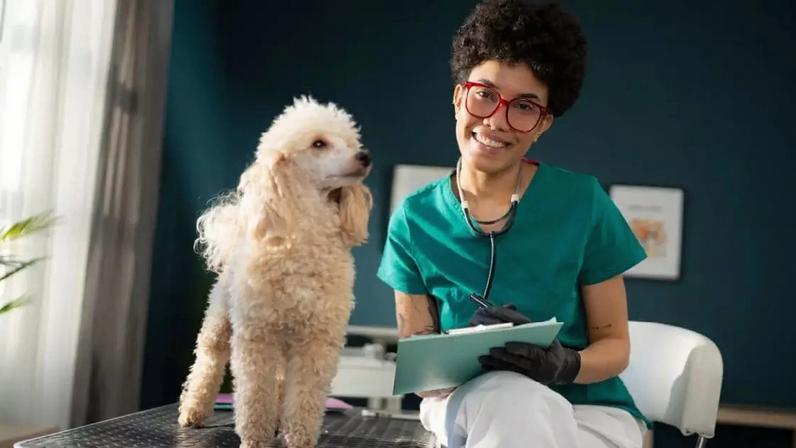 Um histórico veterinário organizado pode ajudar na prevenção de doenças, no diagnóstico precoce e na tomada de decisões mais seguras em situações de urgência