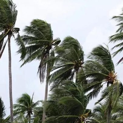 Furacões vs. ciclones: como são definidas as maiores tempestades