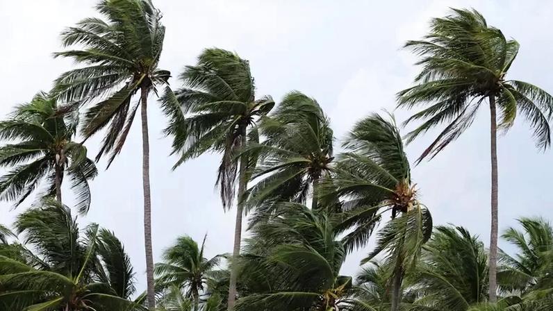 Furacões vs. ciclones: como são definidas as maiores tempestades