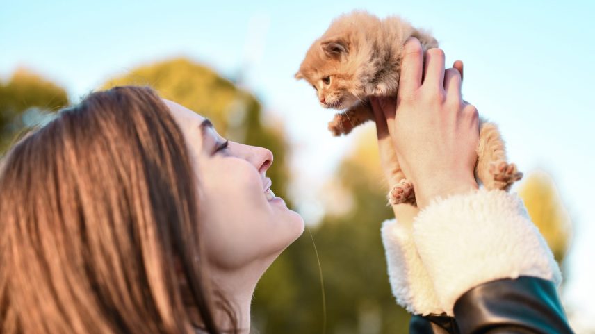 "Kittenfishing" sounds like a sweet dating trend. Don't be fooled.