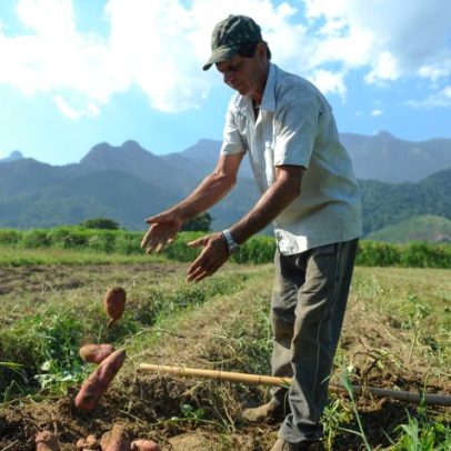 FPA afirma que veto ao Projeto dos Safristas ignora a realidade do campo