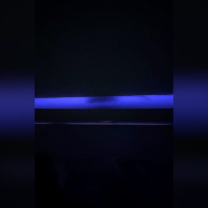 Rato invade cabine de primeira classe em vídeo viral