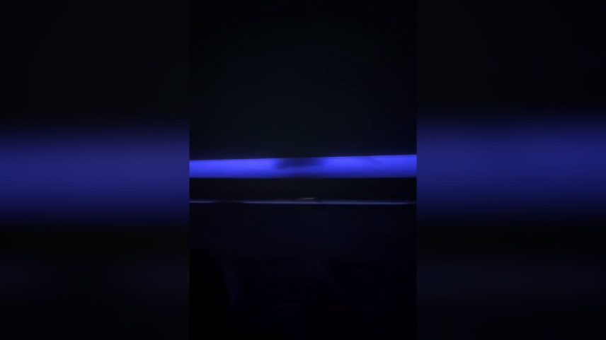 A rodent was seen scurrying along in the overhead cabin on a JetBlue flight, in a video captured by a passenger in a swanky premium section of the flight.