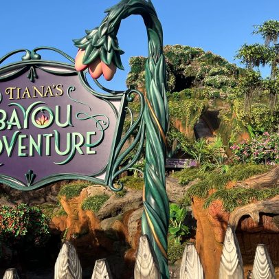 Adolescente de 13 anos sai de Tiana's Bayou Adventure antes da queda