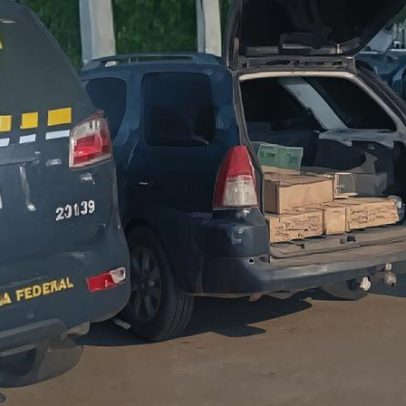 Polícia prende 16 pessoas e encerra torneio ilegal de aves em Jaboatão, PE