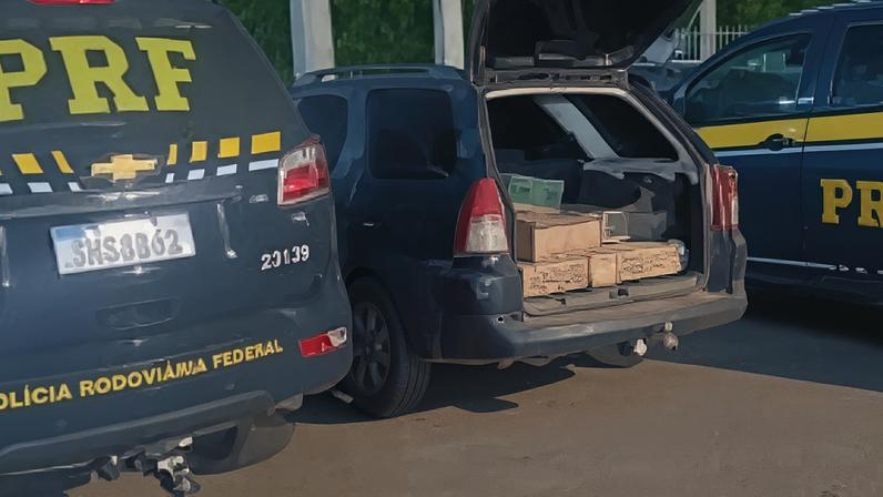 PRF resgata 250 aves silvestres.