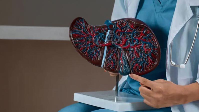 Gordura no fígado: médico explica como evitar