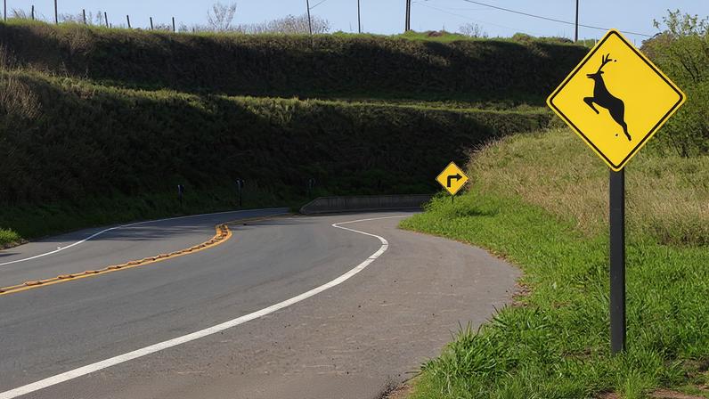 Placa de sinalização de animais na pista. Foto: Câmara Municipal de Sta Bárbara/Divulgação