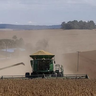 Inadimplência rural fecha 2025 no maior patamar da série trimestral, diz Serasa