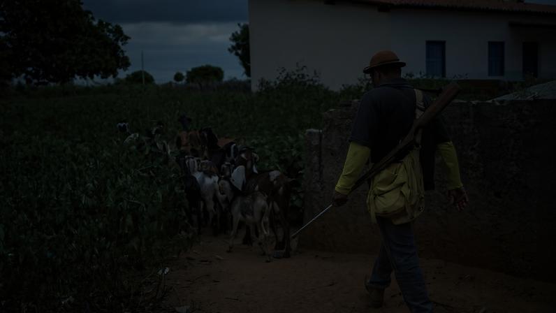 Região Nordeste tem mais da metade dos analfabetos do país — Foto: Edilson Dantas / Agencia O Globo