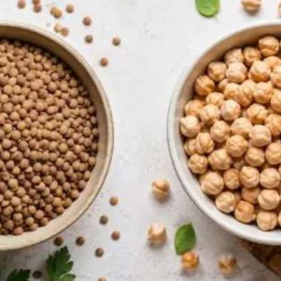 Lentilha ou grão-de-bico: proteína, fibras e dicas de inclusão na dieta