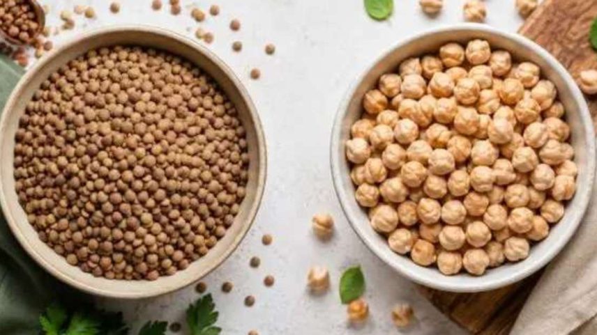 Lentilha ou grão-de-bico: proteína, fibras e dicas de inclusão na dieta