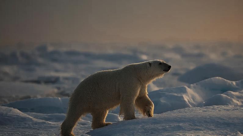 Svalbard