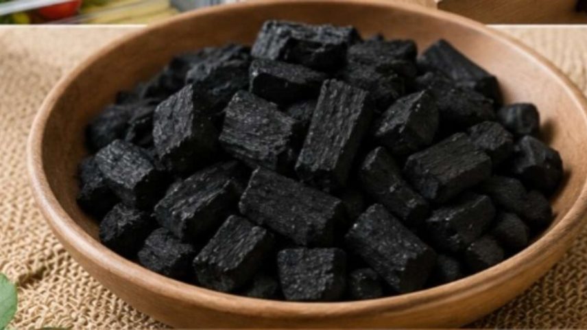 Usos do carvão vão além do churrasco, incluindo energia e indústria