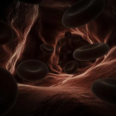 Deficiência de vitamina B12: sintomas, causas e prevenção para o sistema nervoso