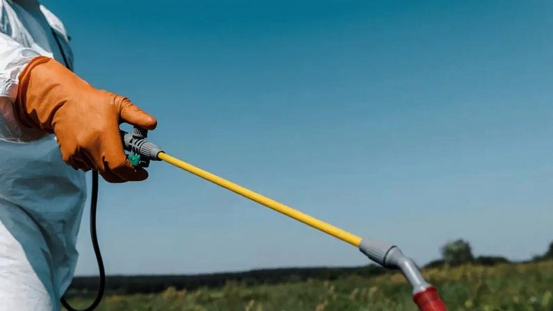 Por ser eficaz, relativamente barato, o glifosato se tornou um pilar da agricultura moderna em diversos países. – depositphotos.com / IgorVetushko