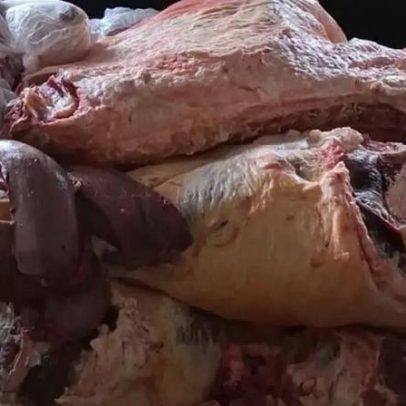 Operação fecha abatedouro clandestino e apreende 1,2 t de carne no Centro