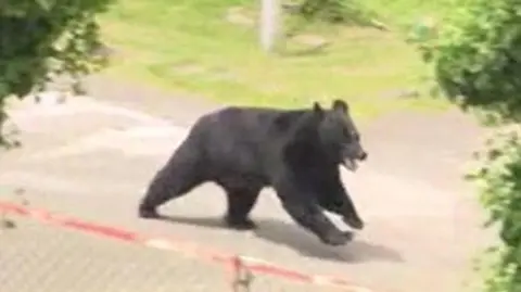 The bear appeared to be "extremely intelligent", Fukushima's mayor has said