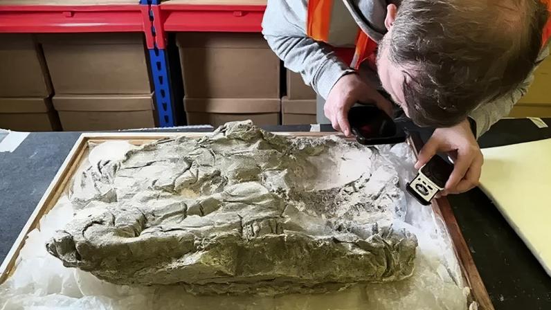 A descoberta, de arqueólogos e químicos da Universidade de York envolve sepultamentos com cerca de 1.700 anos e lança nova luz sobre práticas funerárias, luxo e afetividade familiar no período romano – Divulgação/Universidade de York