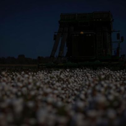 Sem seguro, a maior potência agrícola mundial fica exposta