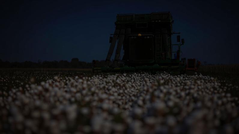 Sem seguro, até mesmo a maior potência agrícola do planeta fica exposta