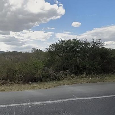 Acidente entre van e caminhão na BR-116, Bahia, deixa 16 mortos