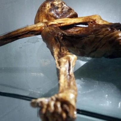 Cientistas criam pão com levedura encontrada em múmia