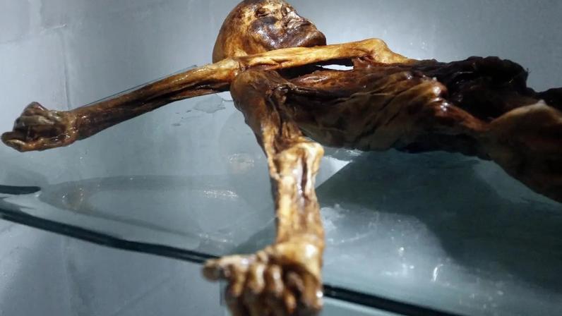 Múmia de Ötzi