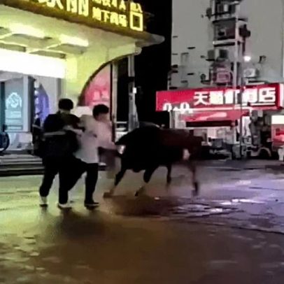 Touro foge de matadouro e ataca pedestres na rua na China