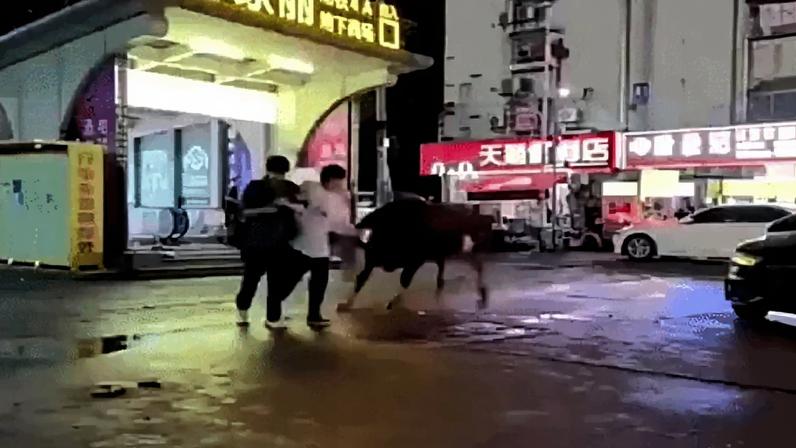 Animal atacou as pessoas perto da saída de uma estação de metrô
