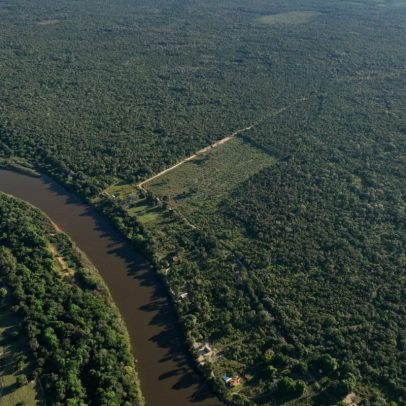 Nova análise revela desmatamento da Amazônia em 2025 com avanços e desafios