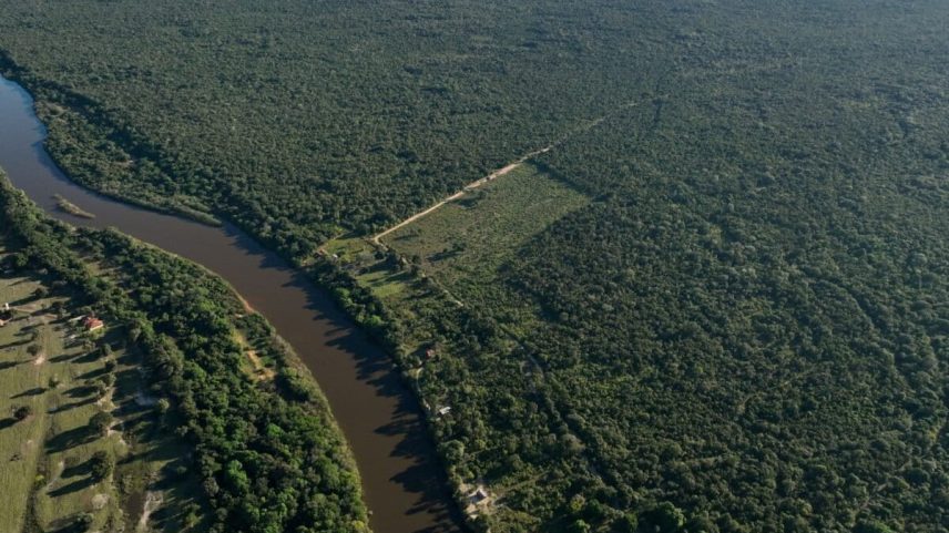 Nova análise revela desmatamento da Amazônia em 2025 com avanços e desafios