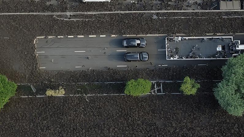 Contagem da USP foi realizada a partir da análise de software de fotos de drone.