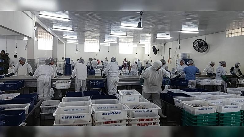 Foi aplicada uma multa de 6 milhões de reais para a ação de uma embarcação de pesca e arrasto.