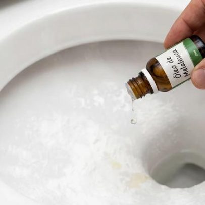 Como desinfetar o vaso sanitário com bicarbonato de sódio