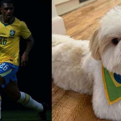 Pet de Rayan encanta torcedores em creche na Inglaterra durante a Copa