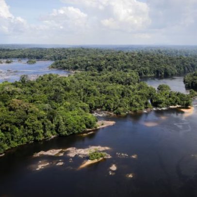 Desmatamento na Amazônia cai 31% em 10 meses